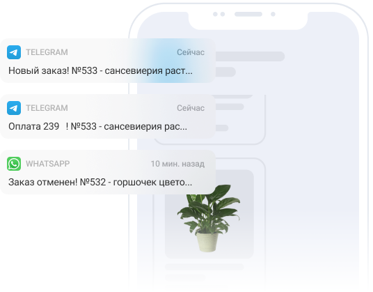 notif-image